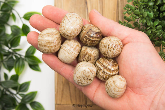 Aragonite - Tumbled Stone - In Hand