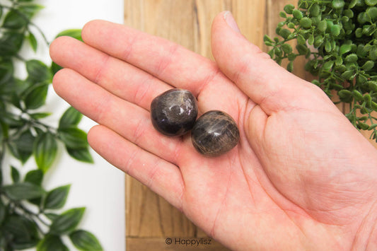 Black Moonstone - Tumbled Stone - In Hand