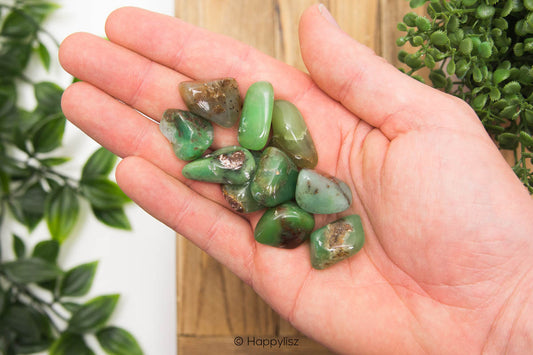 Chrysoprase - Tumbled Stone - In Hand