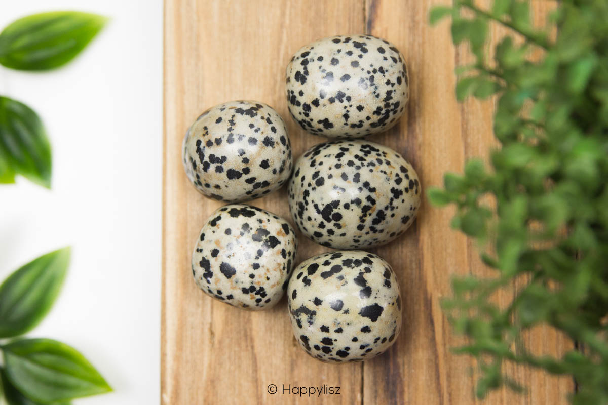 Dalmatian Jasper - Tumbled Stone