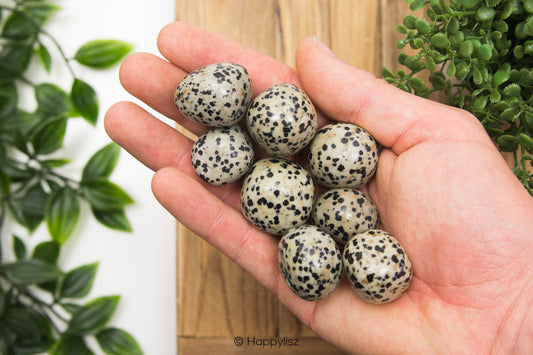 Dalmatian Jasper - Tumbled Stone - In Hand