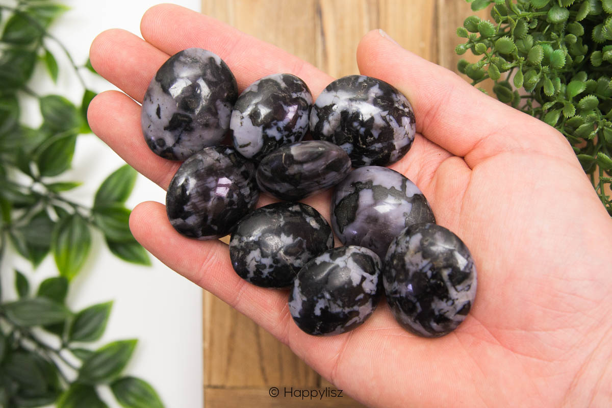 Gabbro - Tumbled Stone - In Hand