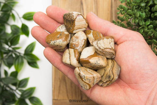 Landscape Jasper - Tumbled Stone - Size M - In Hand