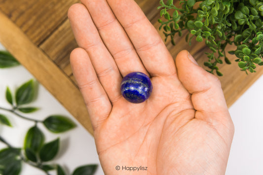 Hand holding a blue lapis lazuli with green plants in the background