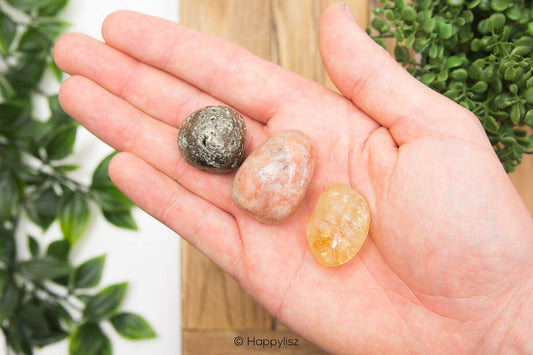 Leo - Crystal Set - In Hand