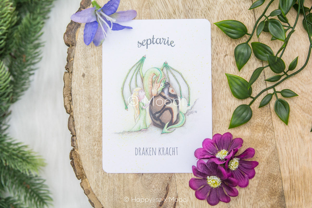 Septarian - Postcard
