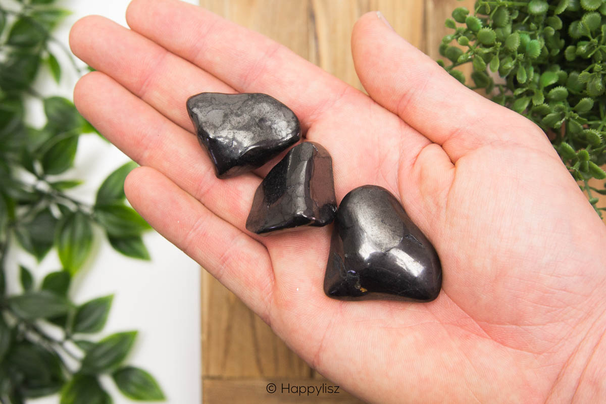 Shungite - Tumbled Stone - In Hand