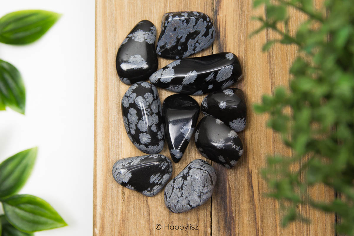 Snowflake Obsidian - Tumbled Stone