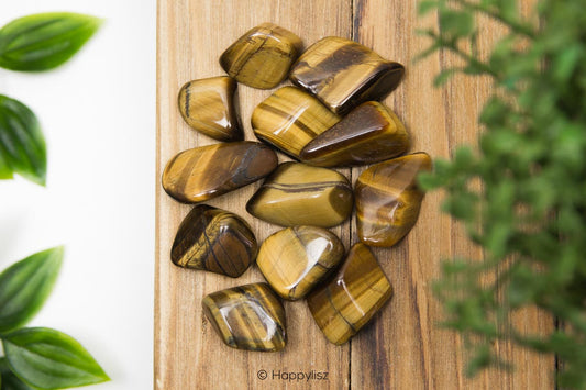 Tiger's Eye - Tumbled Stone - S