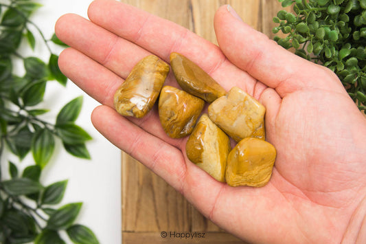 Yellow Jasper - Tumbled Stone - In Hand