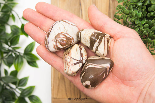 Zebra Jaspis - Tumbled Stone - In Hand