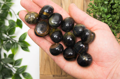 Hawk's Eye - Tumbled Stone - M - Round - In Hand
