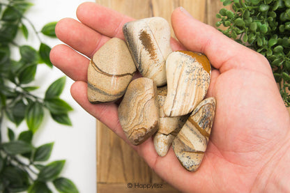 Landscape Jasper - Tumbled Stone - Size L - In Hand