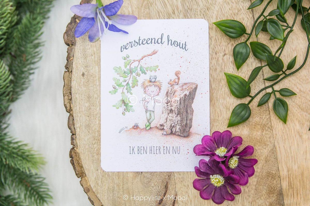Petrified Wood - Postcard