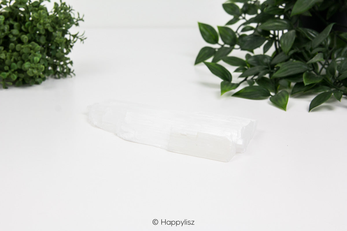 Selenite - Raw Chunk - No. 4 - 02