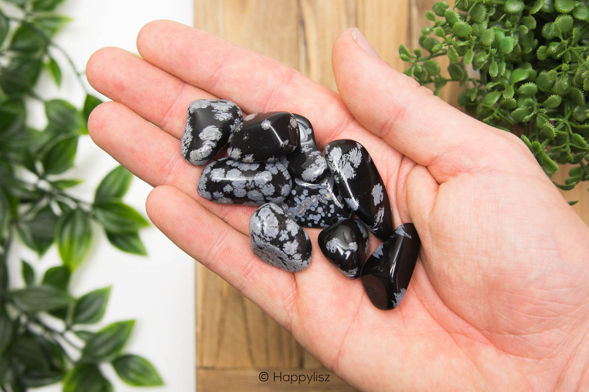 Snowflake Obsidian - Tumbled Stone - In Hand